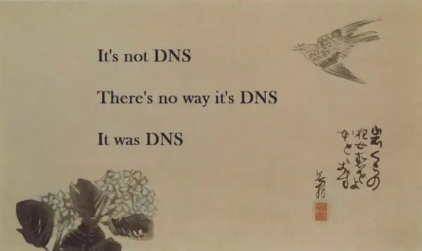 It&rsquo;s always DNS